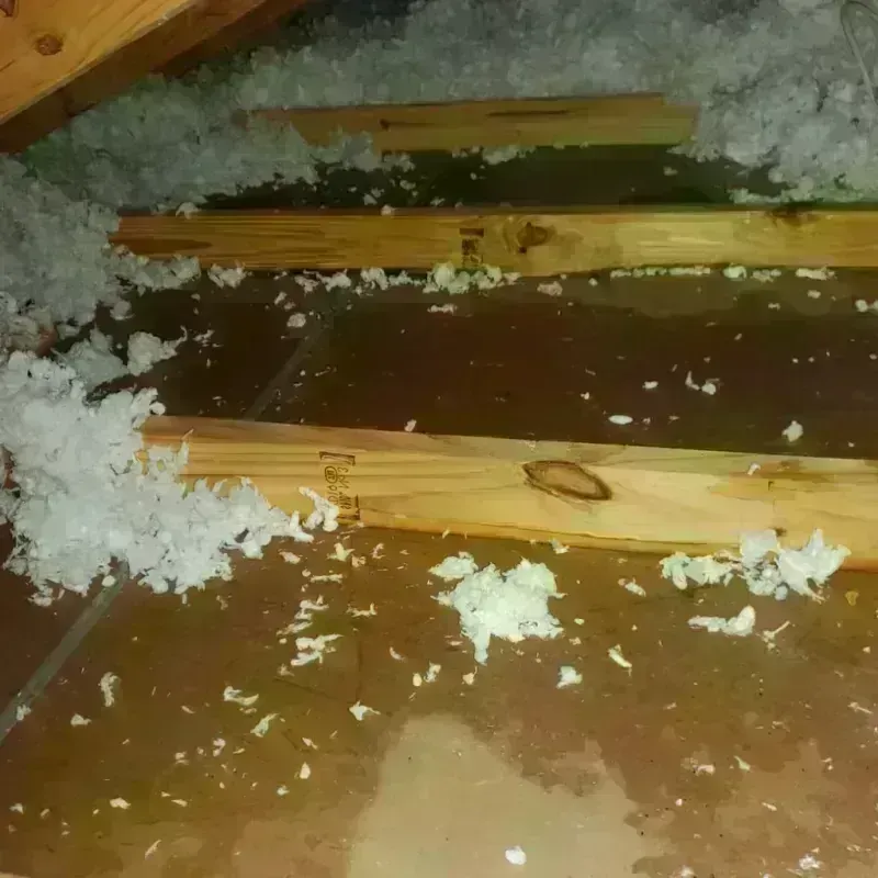 Attic Water Damage in Todd County, MN