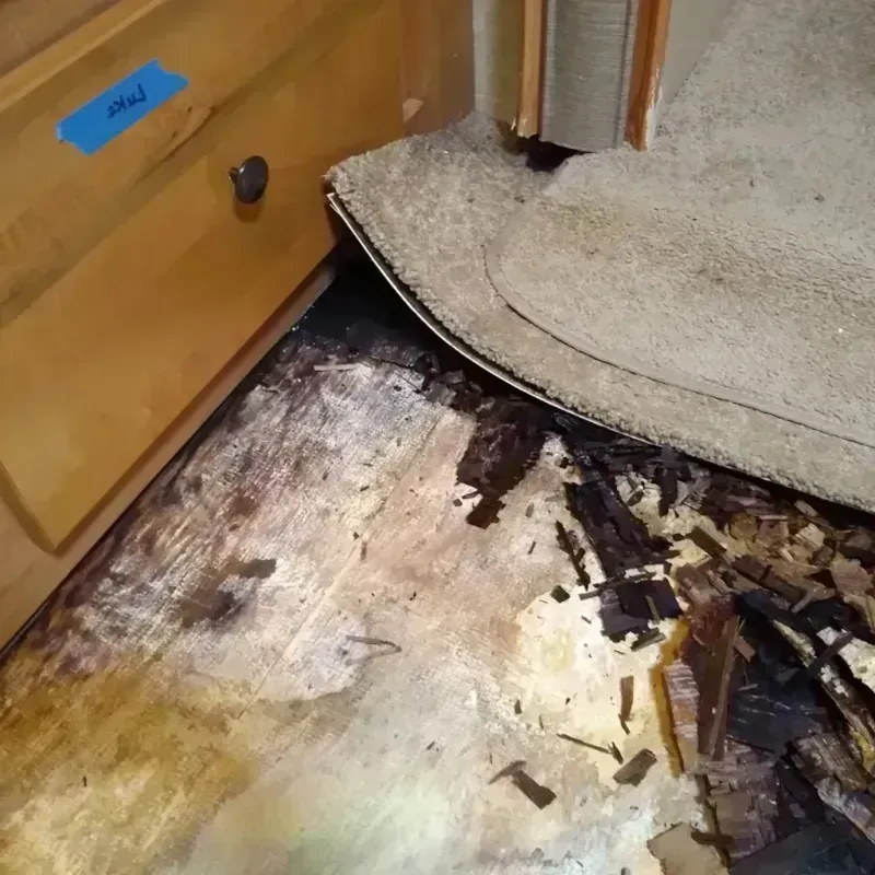 Wood Floor Water Damage in Todd County, MN